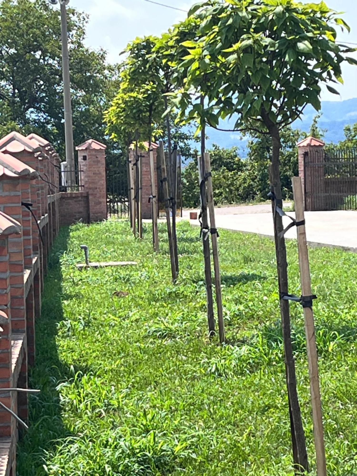 Apartmani Vinarije In Mionica Exterior foto